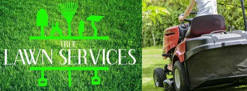 Affordable landscaping services in Florence, KY by True Lawn Care