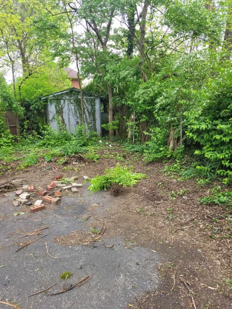 Top-rated landscaping services near you in Florence, KY by True Lawn Care