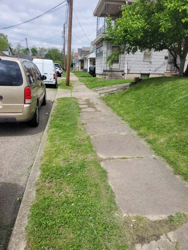 Local lawn mowing service in Florence, KY - True Lawn Care