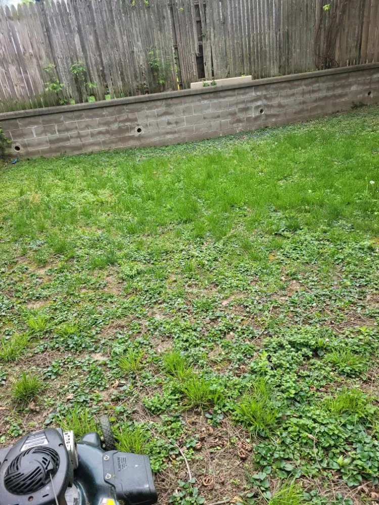 Reliable yard maintenance in Florence, KY by True Lawn Care