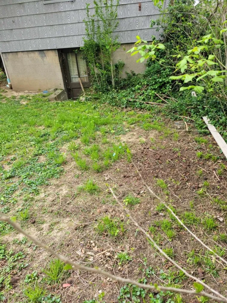 Affordable landscape design in Florence, KY - True Lawn Care