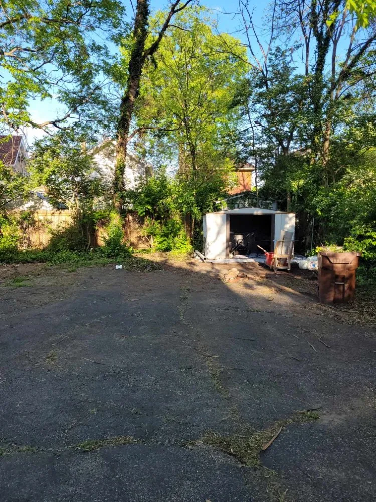 Reliable yard cleanup service for beautiful yards in Florence, KY by True Lawn Care