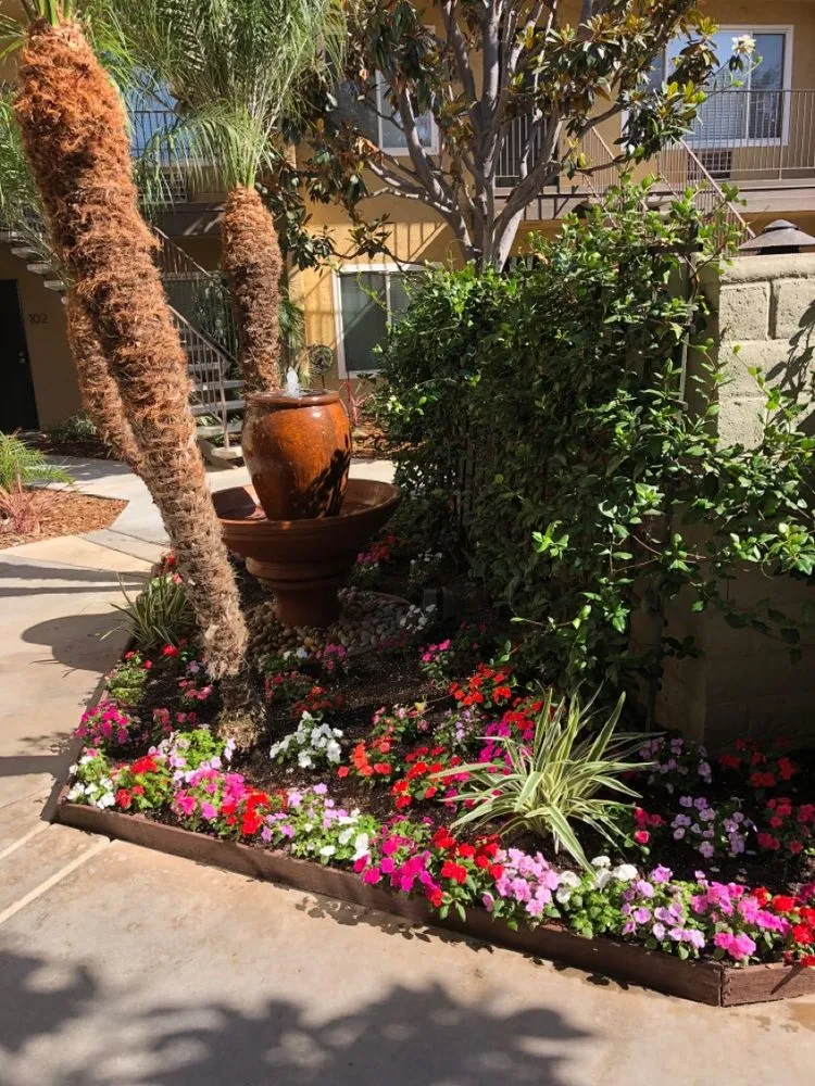 Expert landscaping services for year-round maintenance across Lakeside, CA - True Lawn Care