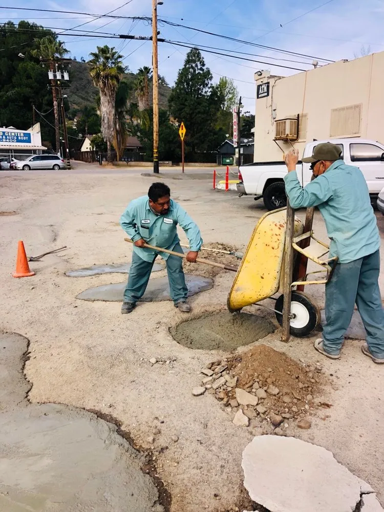 Expert yard cleanup service experts serving Lakeside, CA - True Lawn Care