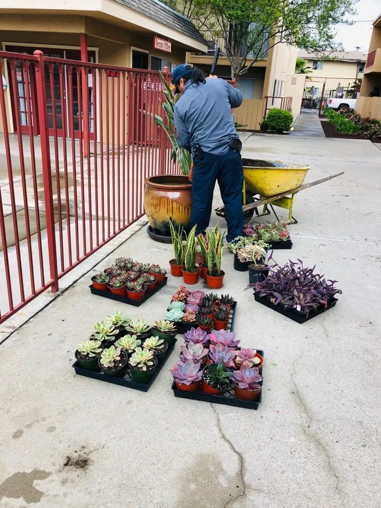 Custom landscape design in Lakeside, CA by True Lawn Care