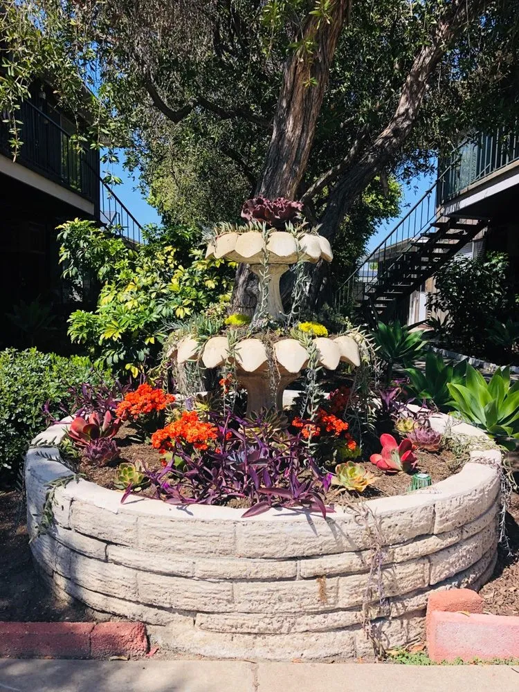 Local lawn mowing service experts serving Lakeside, CA - True Lawn Care