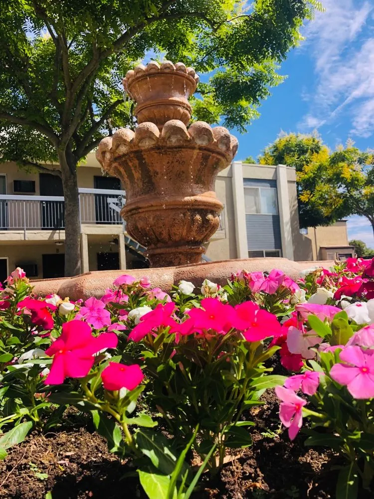 Professional landscaping services experts serving Lakeside, CA - True Lawn Care