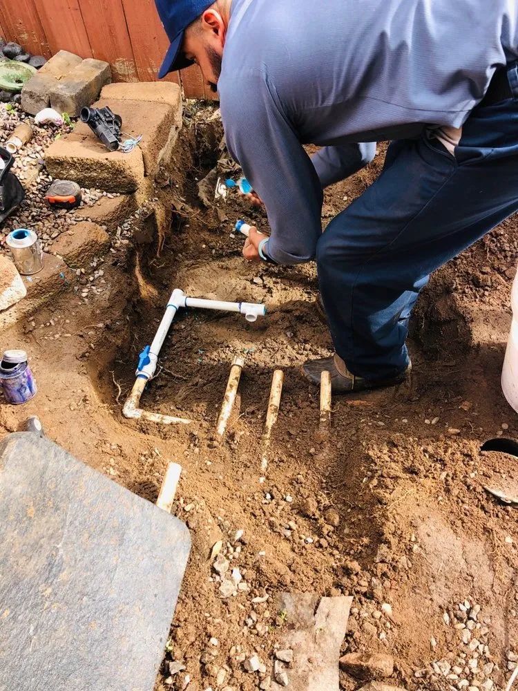 Custom garden landscaping in Lakeside, CA by True Lawn Care