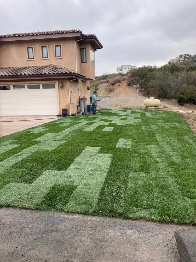 Professional yard maintenance near you in Lakeside, CA by True Lawn Care