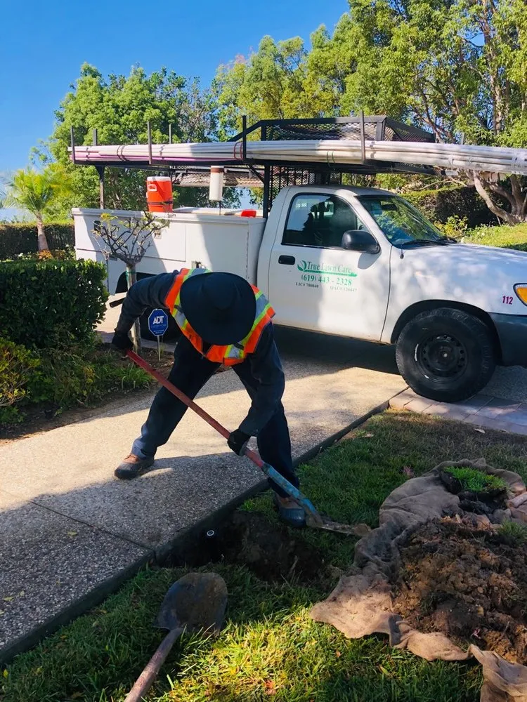 Trusted lawn care service in Lakeside, CA - True Lawn Care