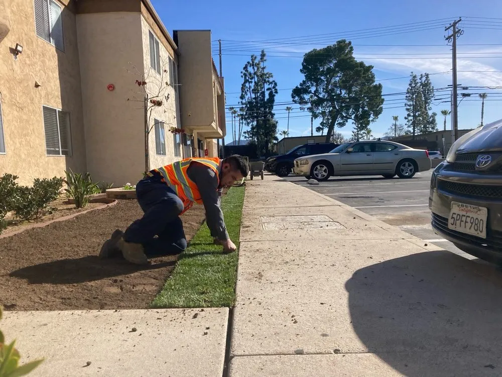 Top-rated yard cleanup service in Lakeside, CA - True Lawn Care