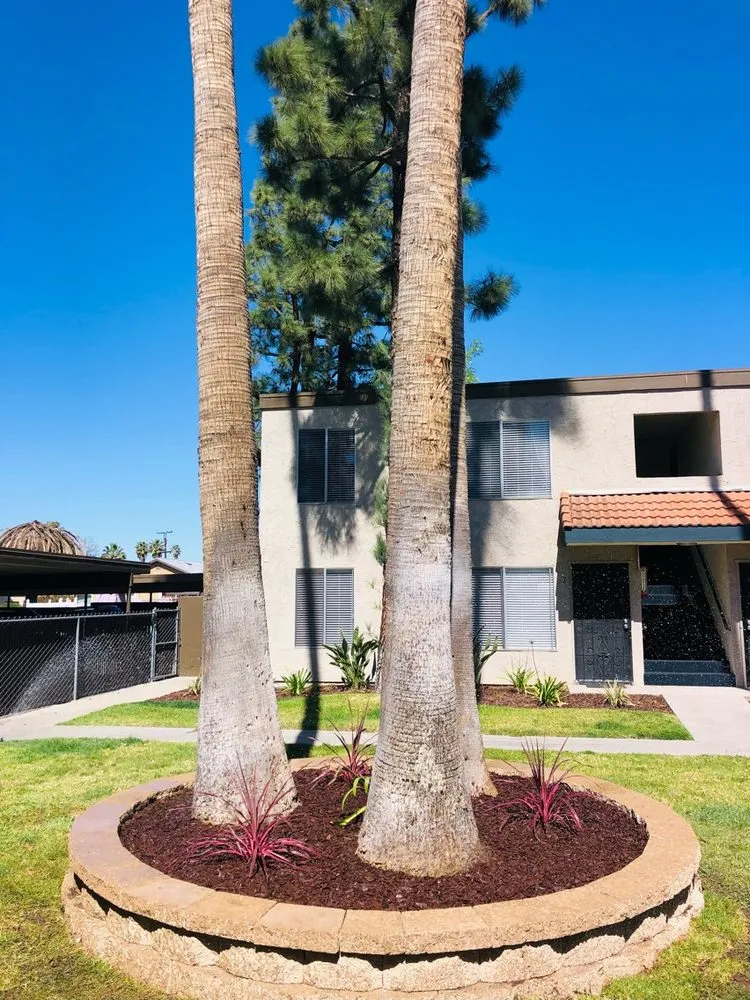 Trusted lawn mowing service for residential properties across Lakeside, CA - True Lawn Care