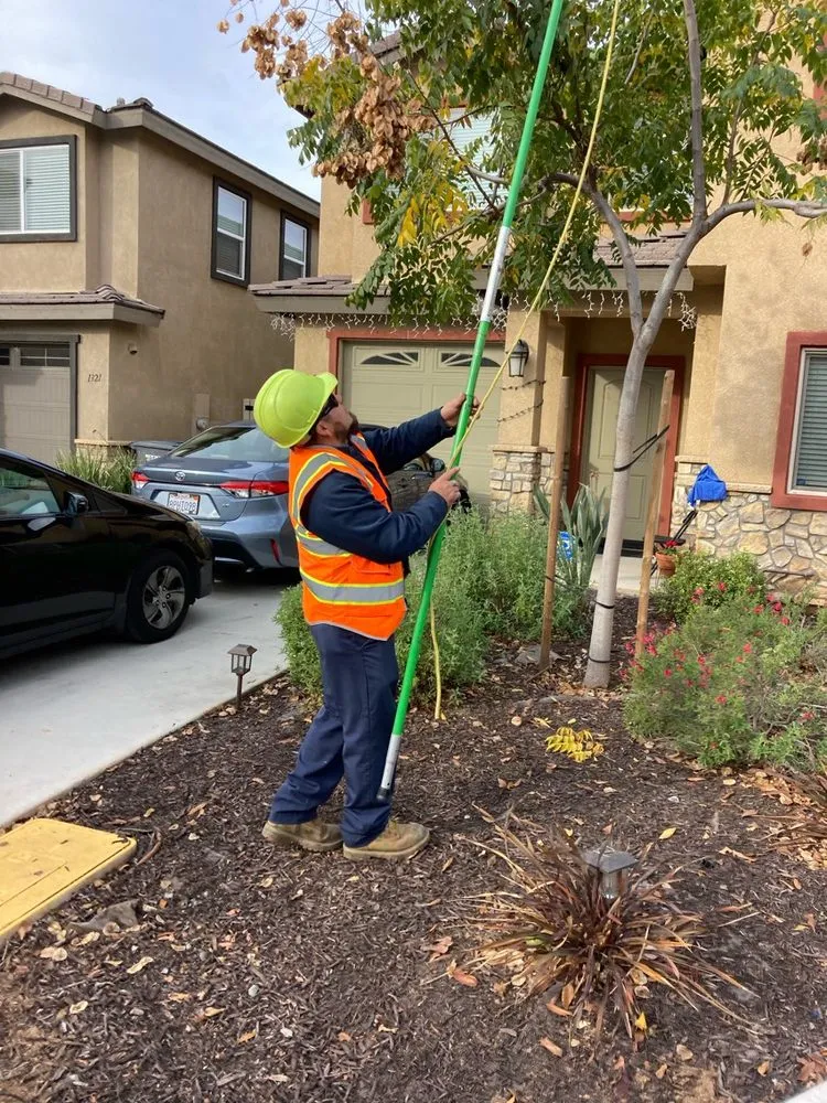 Trusted lawn care service with custom design in Lakeside, CA by True Lawn Care