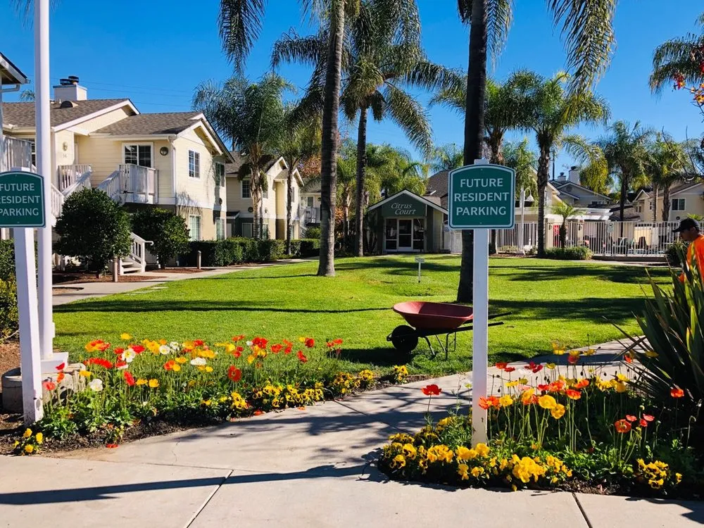 Reliable lawn care service experts serving Lakeside, CA - True Lawn Care