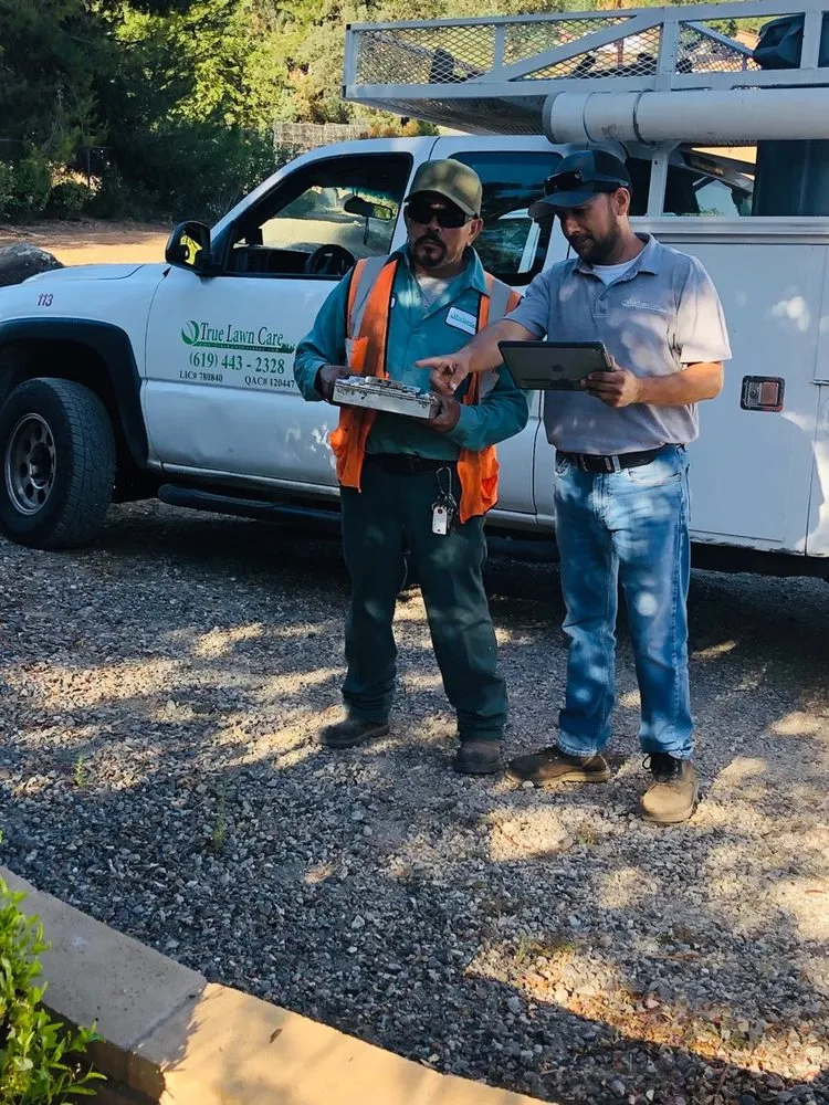 Affordable outdoor landscaping in Lakeside, CA - True Lawn Care