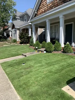 True lawn care Nc Logo