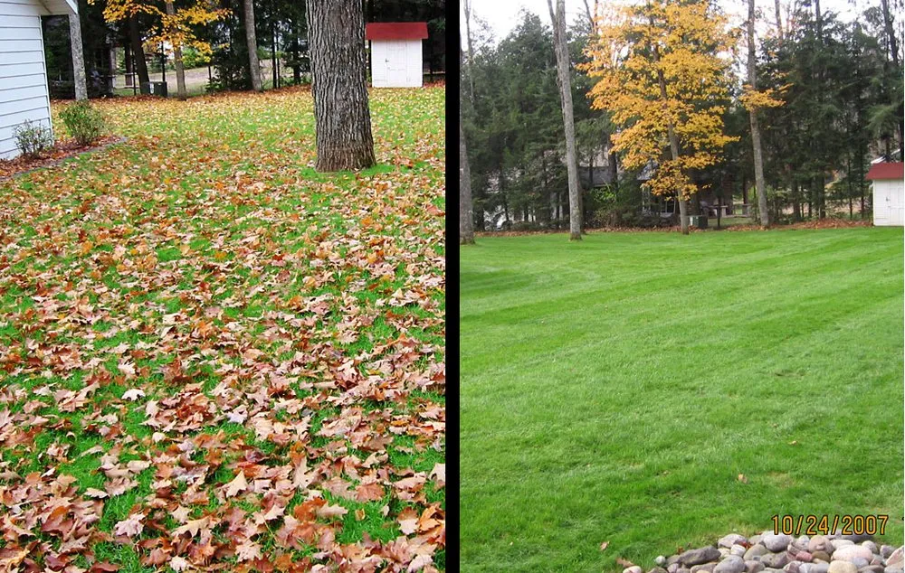Custom landscape installation for outdoor upgrades across Seven Hills, OH - True Lawn Care