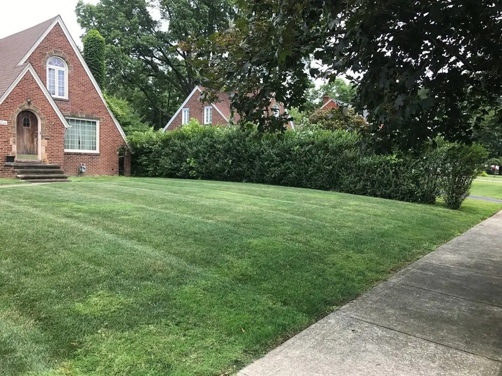 Affordable landscaping services in Seven Hills, OH by True Lawn Care