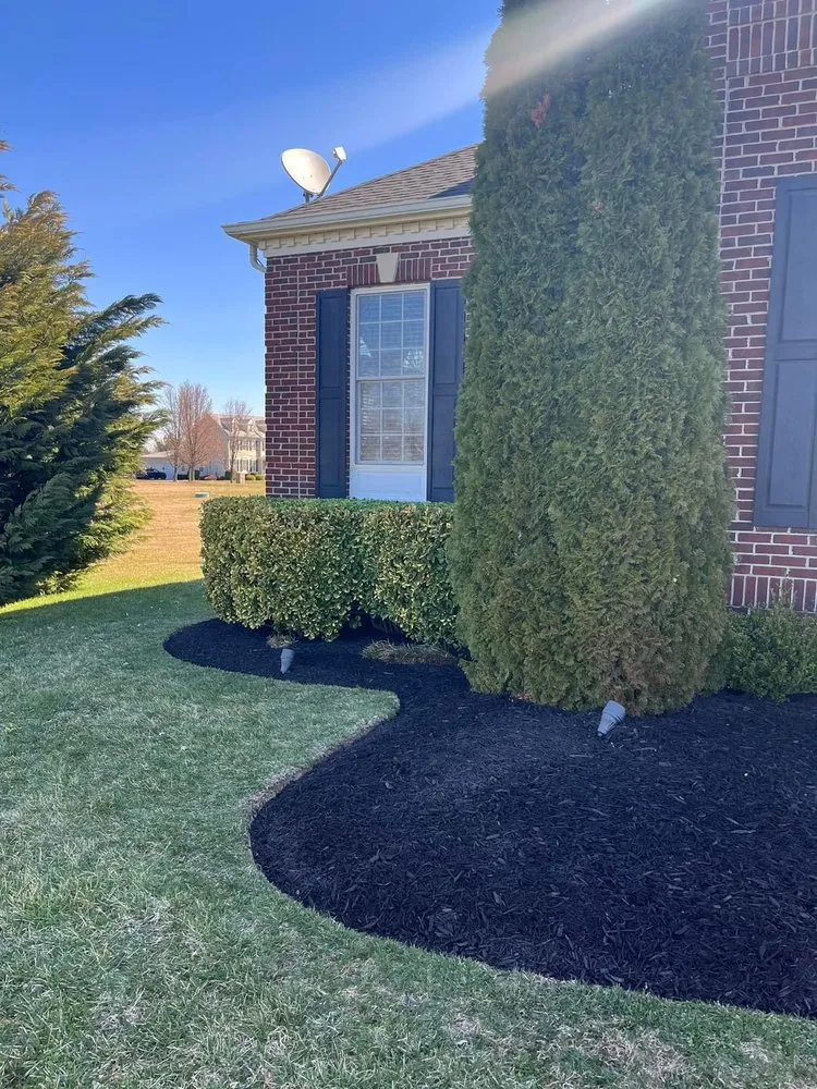 Expert lawn care service with custom design across Seven Hills, OH - True Lawn Care