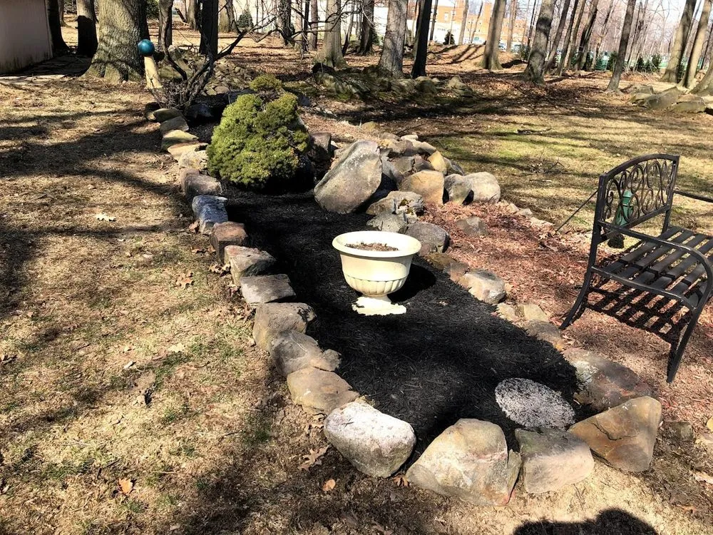 Expert yard cleanup service experts serving Seven Hills, OH - True Lawn Care