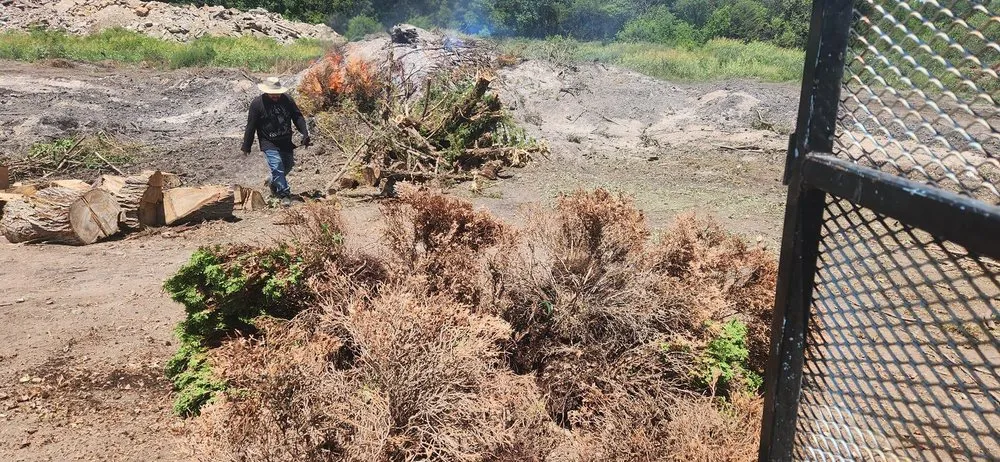 Expert landscaping services in Wichita, KS - True Lawn Care