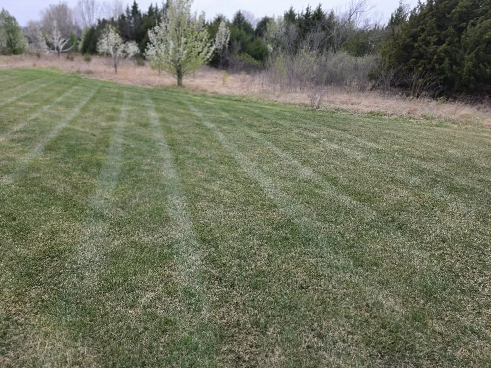 Custom landscape installation for residential properties across Wichita, KS - True Lawn Care