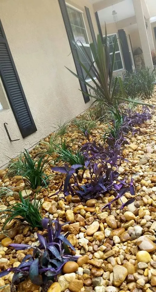 Professional residential landscaping in Melbourne, FL - True Lawn