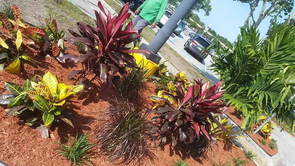 Professional yard maintenance for residential properties in Melbourne, FL by True Lawn