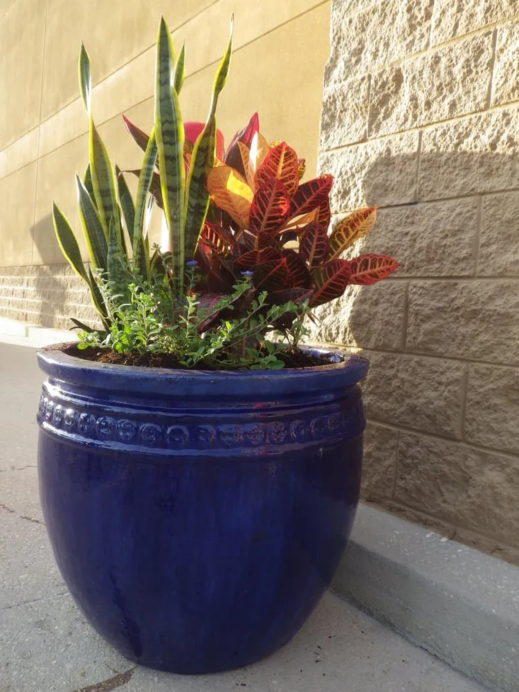 Expert garden landscaping in Melbourne, FL - True Lawn