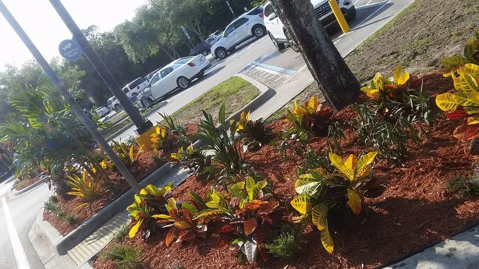 Trusted lawn care service in Melbourne, FL by True Lawn