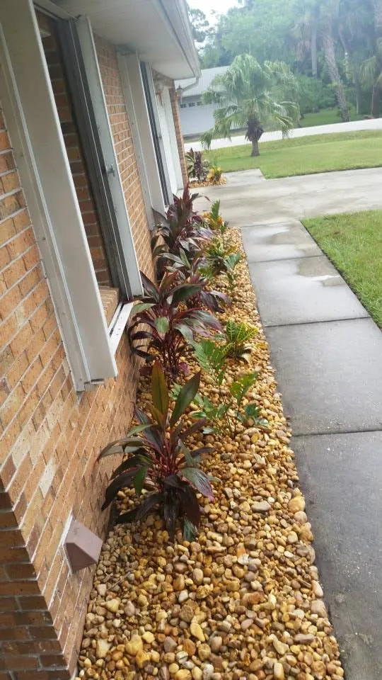 Top-rated lawn care service experts serving Melbourne, FL - True Lawn