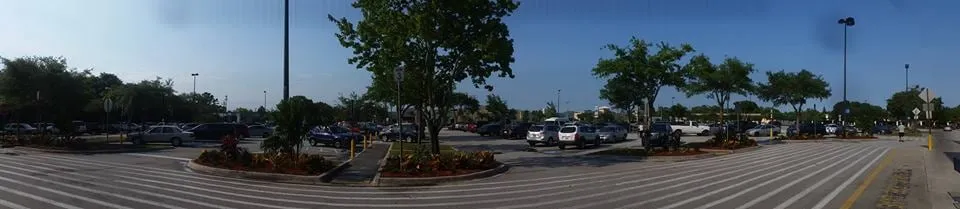 Expert garden landscaping in Melbourne, FL - True Lawn