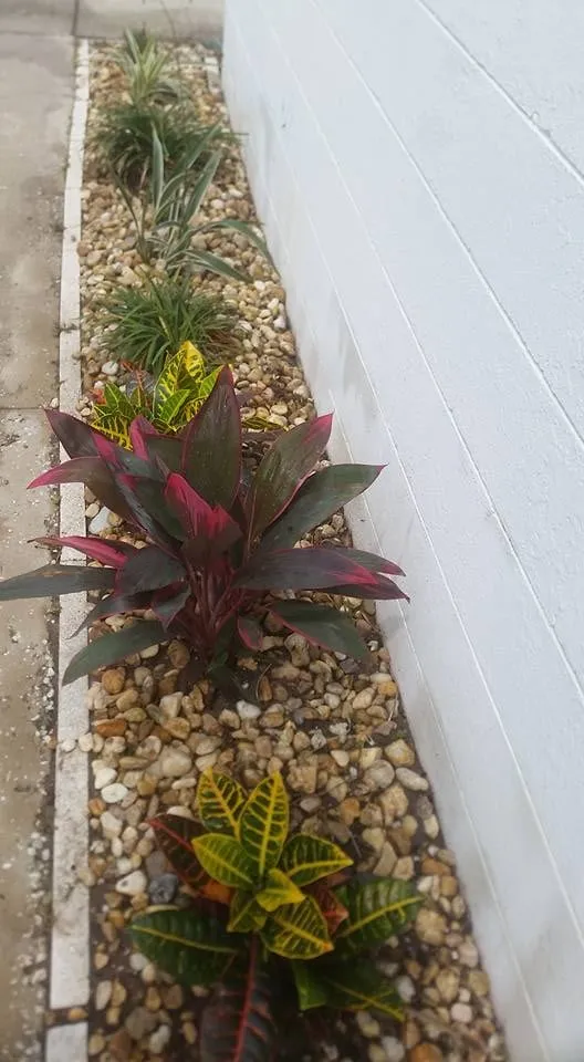 Expert landscaping services experts serving Melbourne, FL - True Lawn