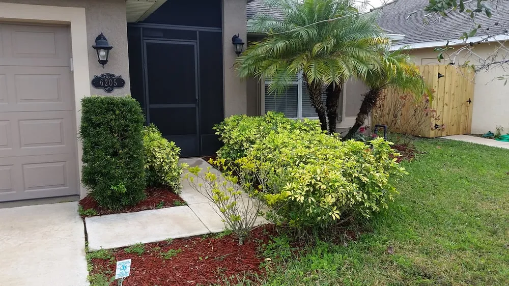 Professional landscaping services experts serving Melbourne, FL - True Lawn