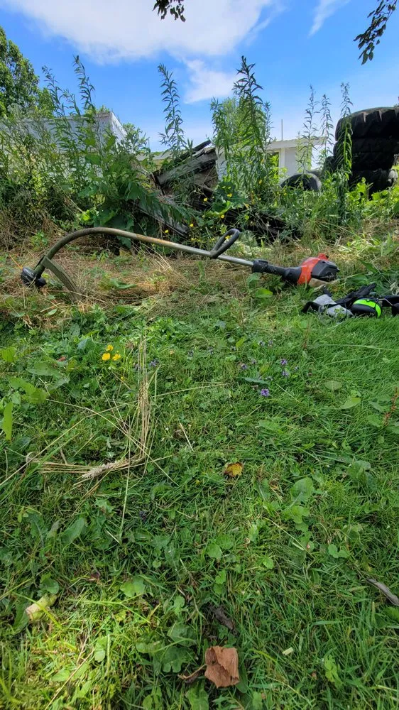 Reliable landscape design for outdoor upgrades across New Castle, PA - True Lawn