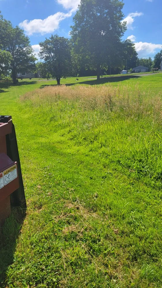 Top-rated landscape installation for outdoor upgrades in New Castle, PA by True Lawn