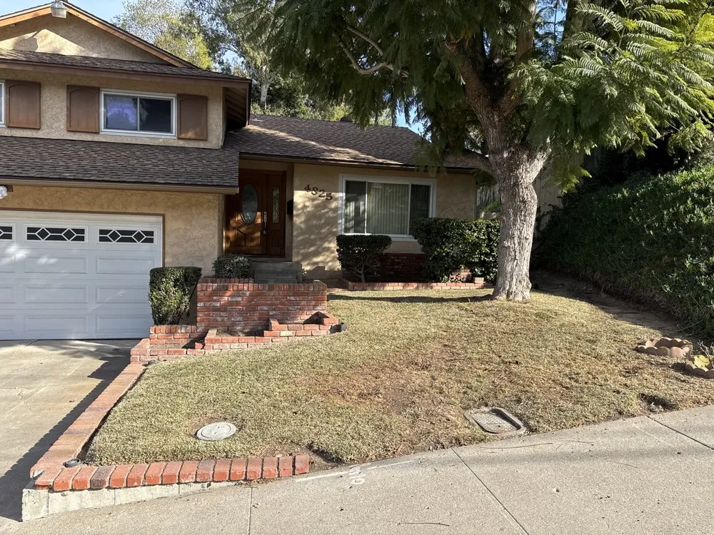 Reliable yard maintenance in San Diego, CA by True Lawn