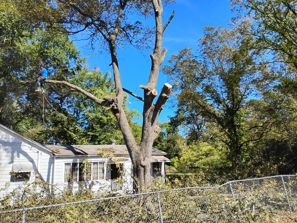 Local outdoor landscaping in North Little Rock, AR - True Lawn Service & Landscaping