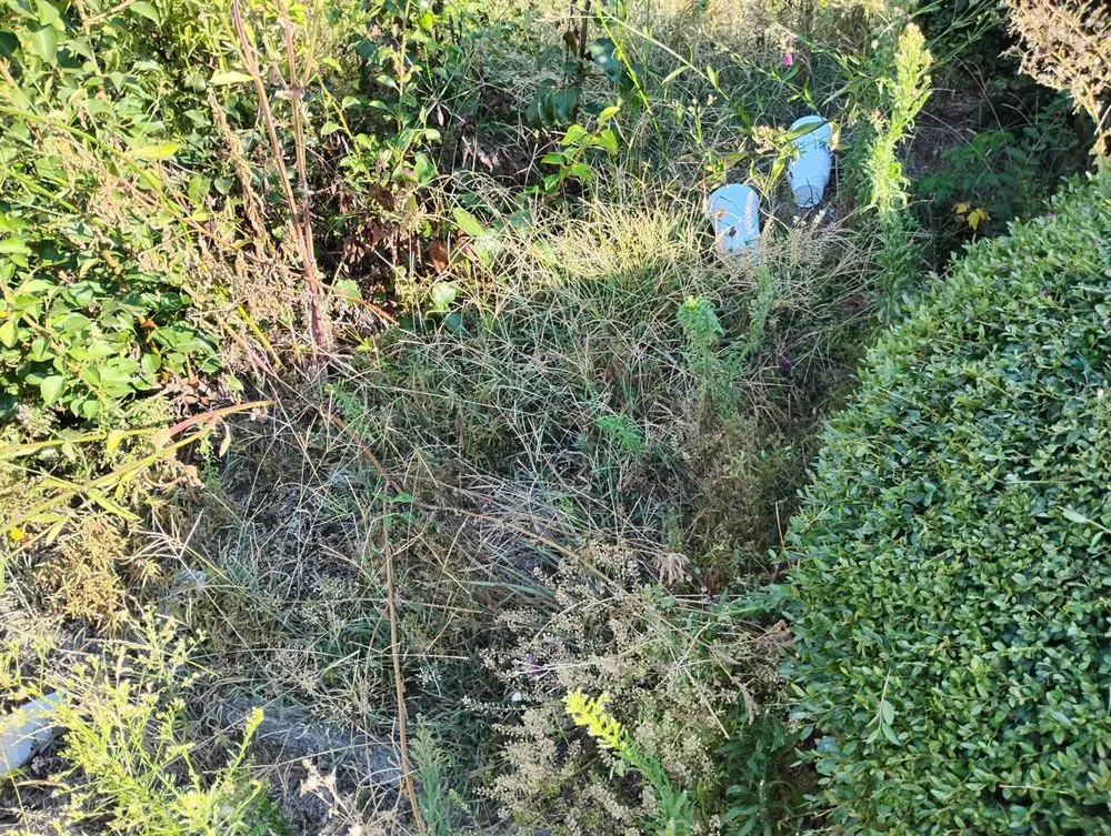 Custom outdoor landscaping experts serving North Little Rock, AR - True Lawn Service & Landscaping