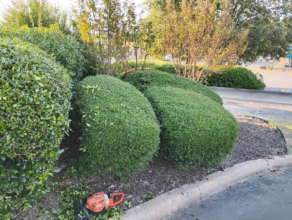 Professional lawn care service in North Little Rock, AR by True Lawn Service & Landscaping