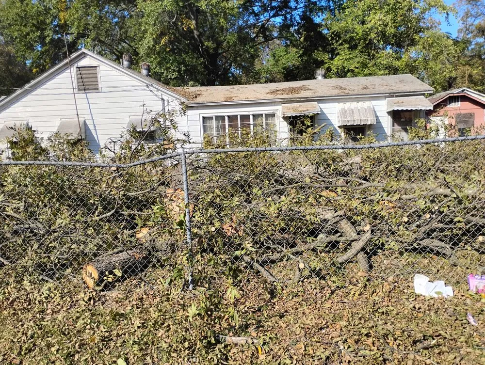 Top-rated landscaping services experts serving North Little Rock, AR - True Lawn Service & Landscaping