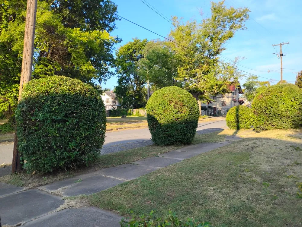 Custom yard maintenance for residential properties across North Little Rock, AR - True Lawn Service & Landscaping