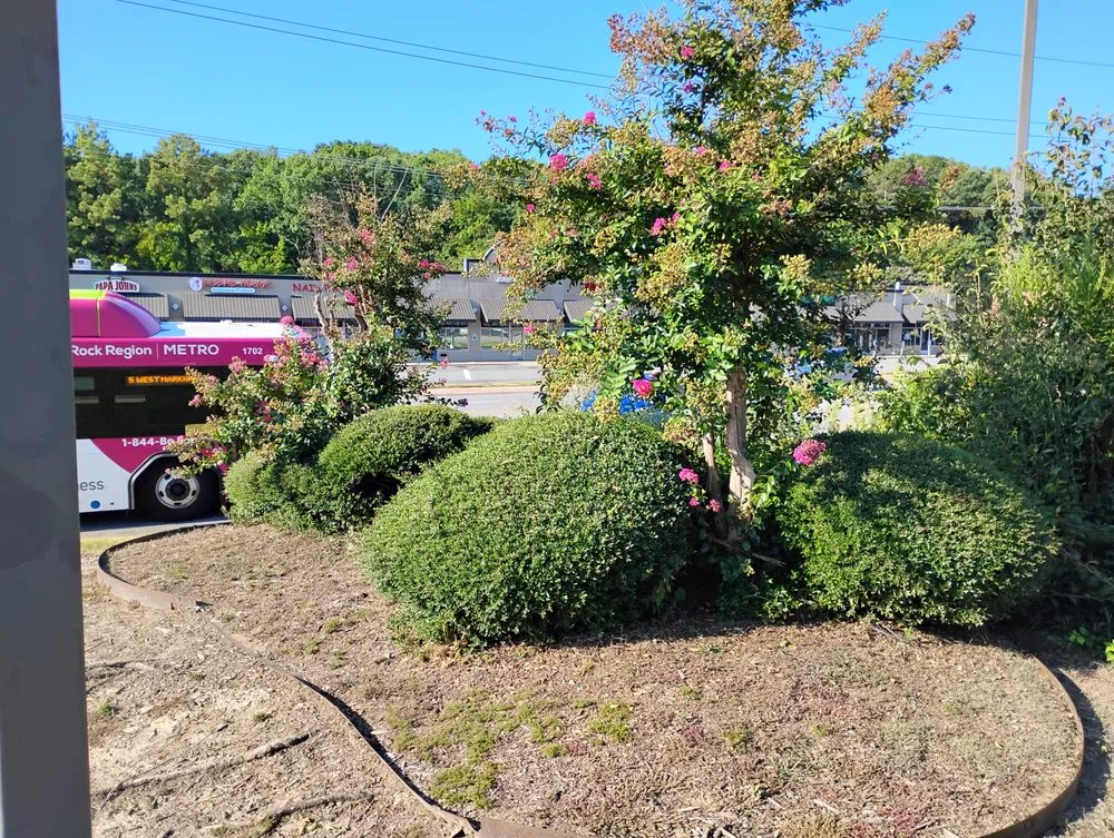 Local garden landscaping for outdoor upgrades across North Little Rock, AR - True Lawn Service & Landscaping