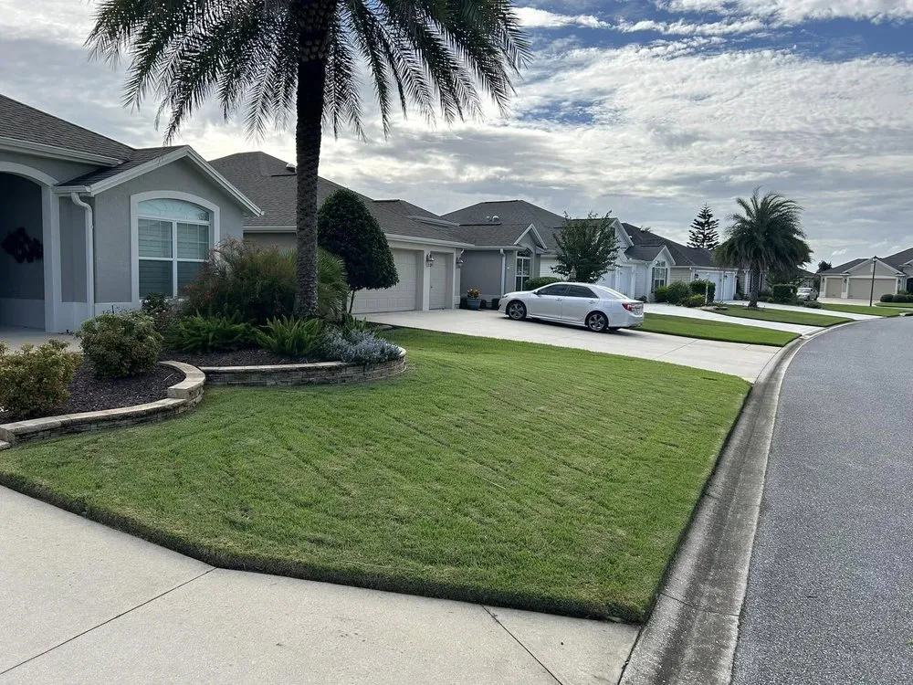 Top-rated yard cleanup service in Ocala, FL - True Leaf Tropical