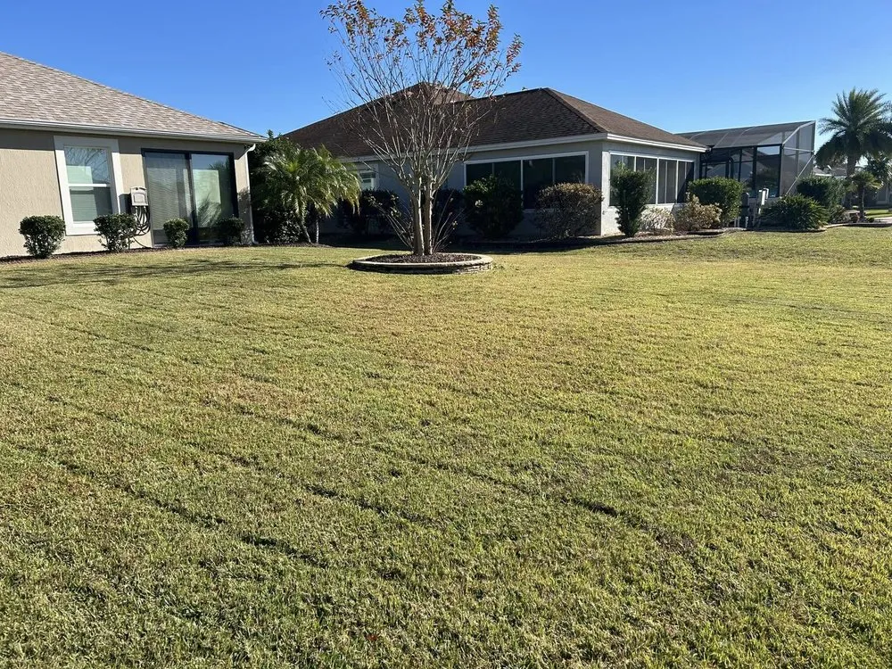 Top-rated lawn care service in Ocala, FL - True Leaf Tropical