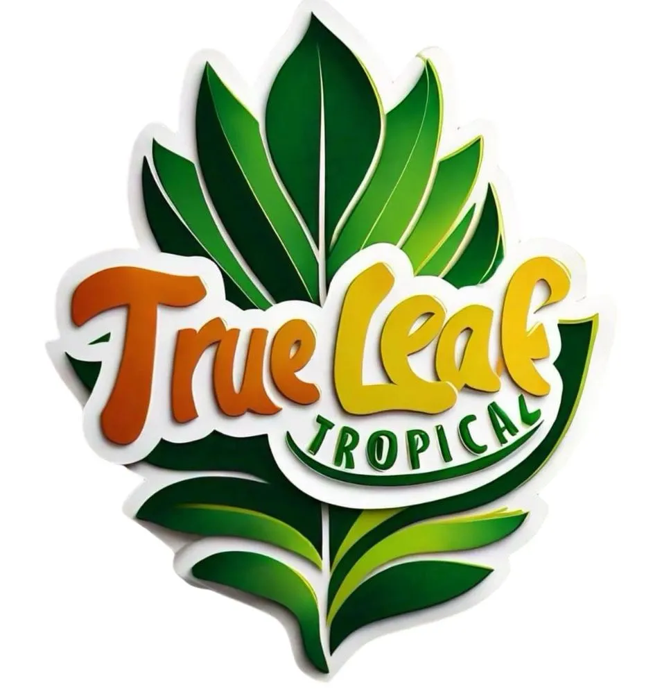 Professional yard cleanup service experts serving Ocala, FL - True Leaf Tropical