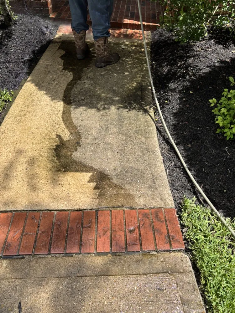 Affordable residential landscaping in Missouri City, TX by True Loyalty