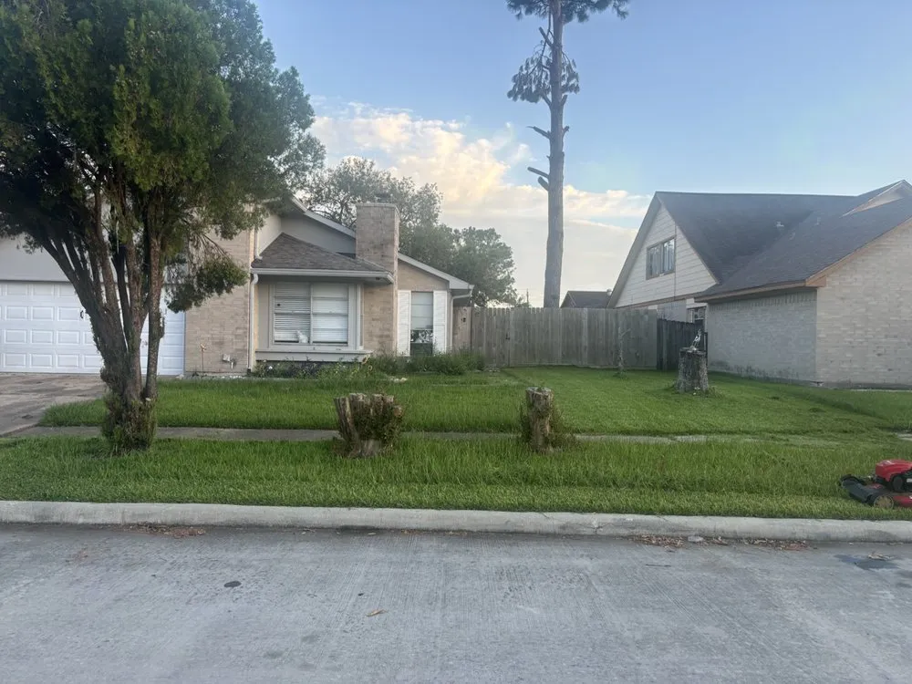 Expert yard cleanup service in Missouri City, TX by True Loyalty