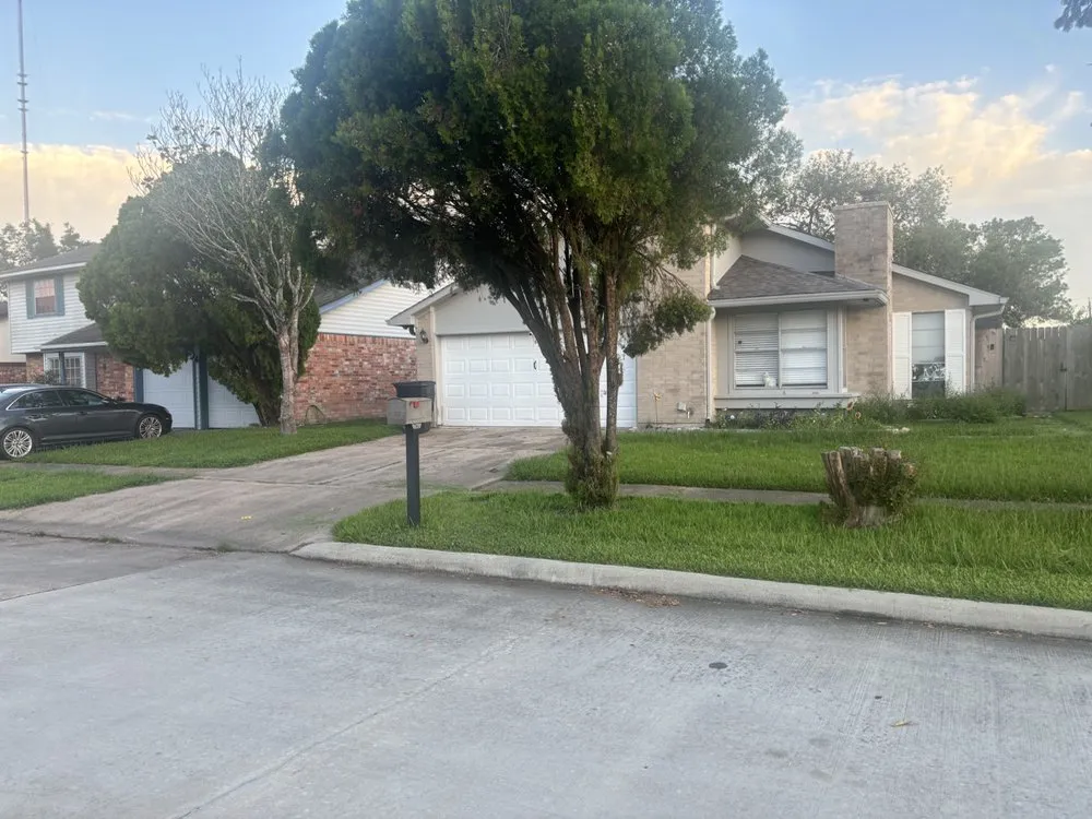 Professional yard maintenance for residential properties across Missouri City, TX - True Loyalty