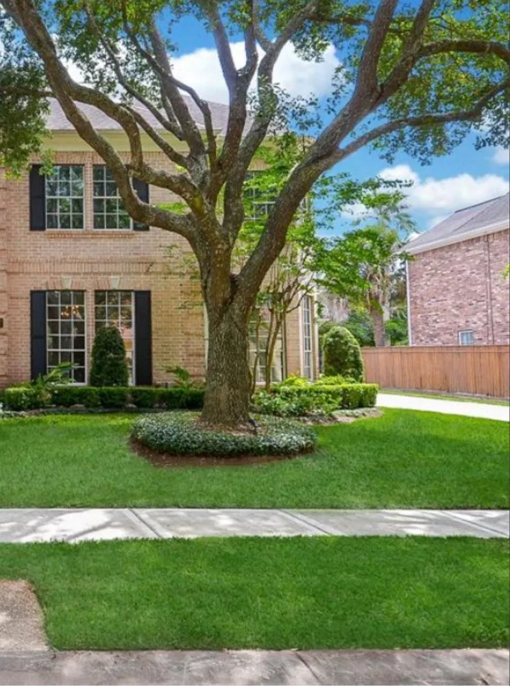 Reliable outdoor landscaping experts serving Missouri City, TX - True Loyalty